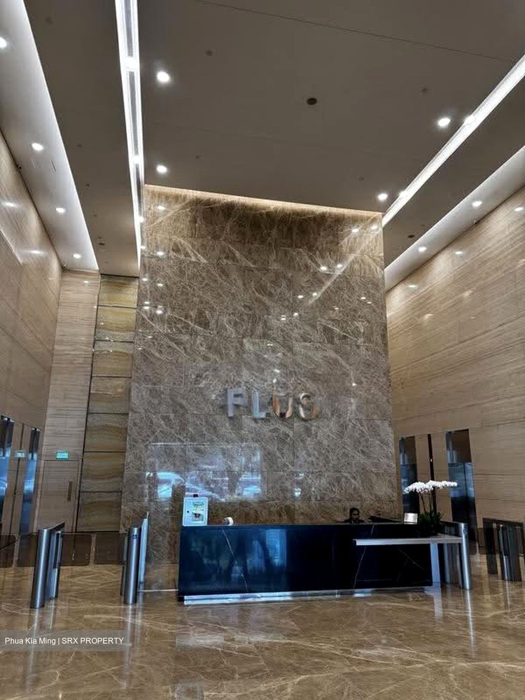 PLUS (D1), Office #611816561